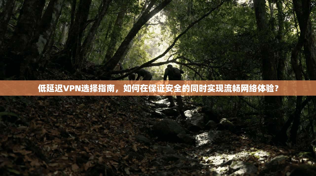 低延迟VPN选择指南，如何在保证安全的同时实现流畅网络体验？