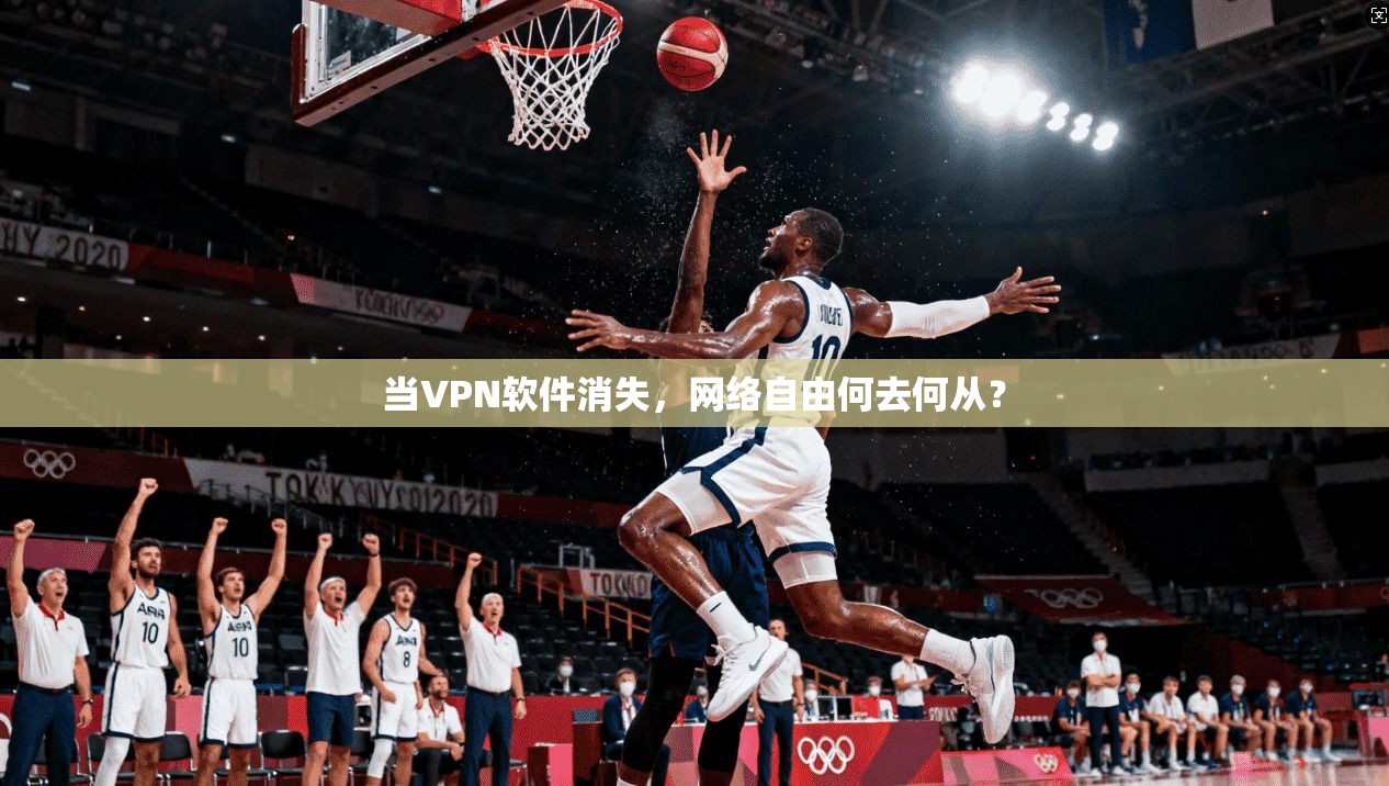 当VPN软件消失，网络自由何去何从？