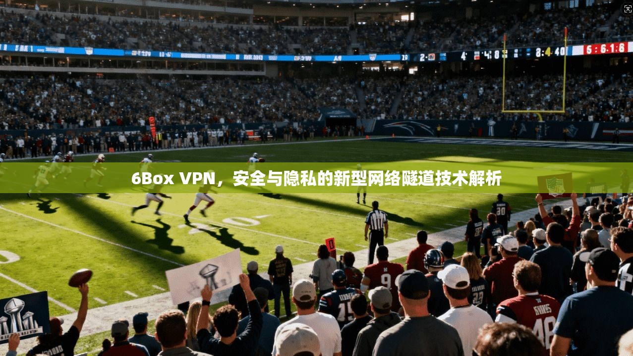 6Box VPN，安全与隐私的新型网络隧道技术解析