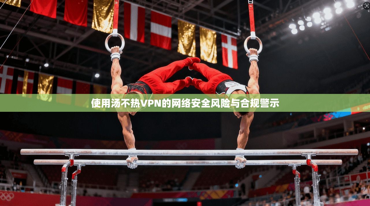 使用汤不热VPN的网络安全风险与合规警示