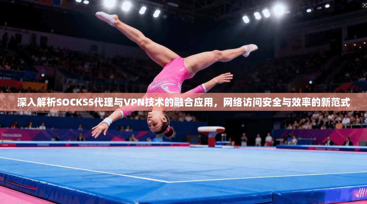 深入解析SOCKS5代理与VPN技术的融合应用,网络访问安全与效率的新范式 深入解析SOCKS5代理与VPN技术的融合应用,网络访问安全与效率的新范式