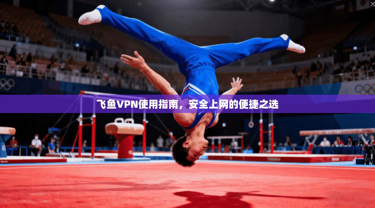 飞鱼VPN使用指南,安全上网的便捷之选 飞鱼VPN使用指南,安全上网的便捷之选