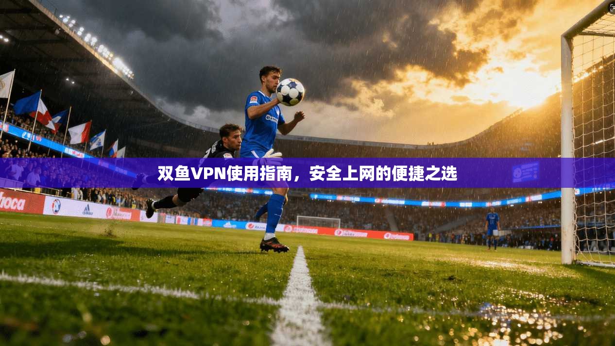双鱼VPN使用指南,安全上网的便捷之选 双鱼VPN使用指南,安全上网的便捷之选