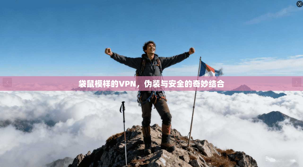 袋鼠模样的VPN,伪装与安全的奇妙结合 袋鼠模样的VPN,伪装与安全的奇妙结合