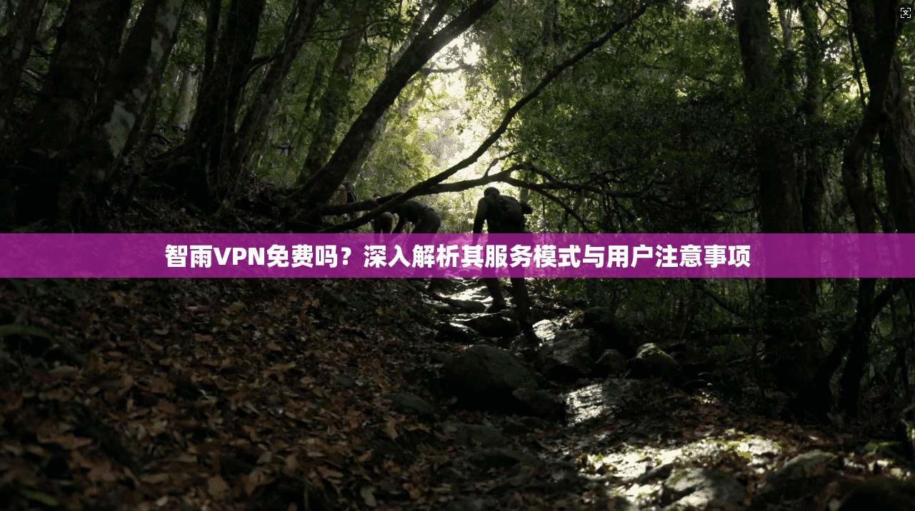智雨VPN免费吗？深入解析其服务模式与用户注意事项