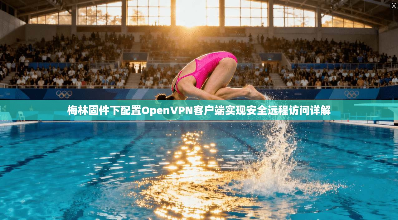 梅林固件下配置OpenVPN客户端实现安全远程访问详解
