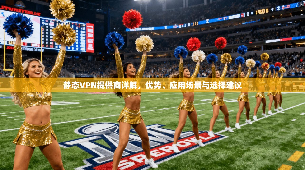 静态VPN提供商详解，优势、应用场景与选择建议