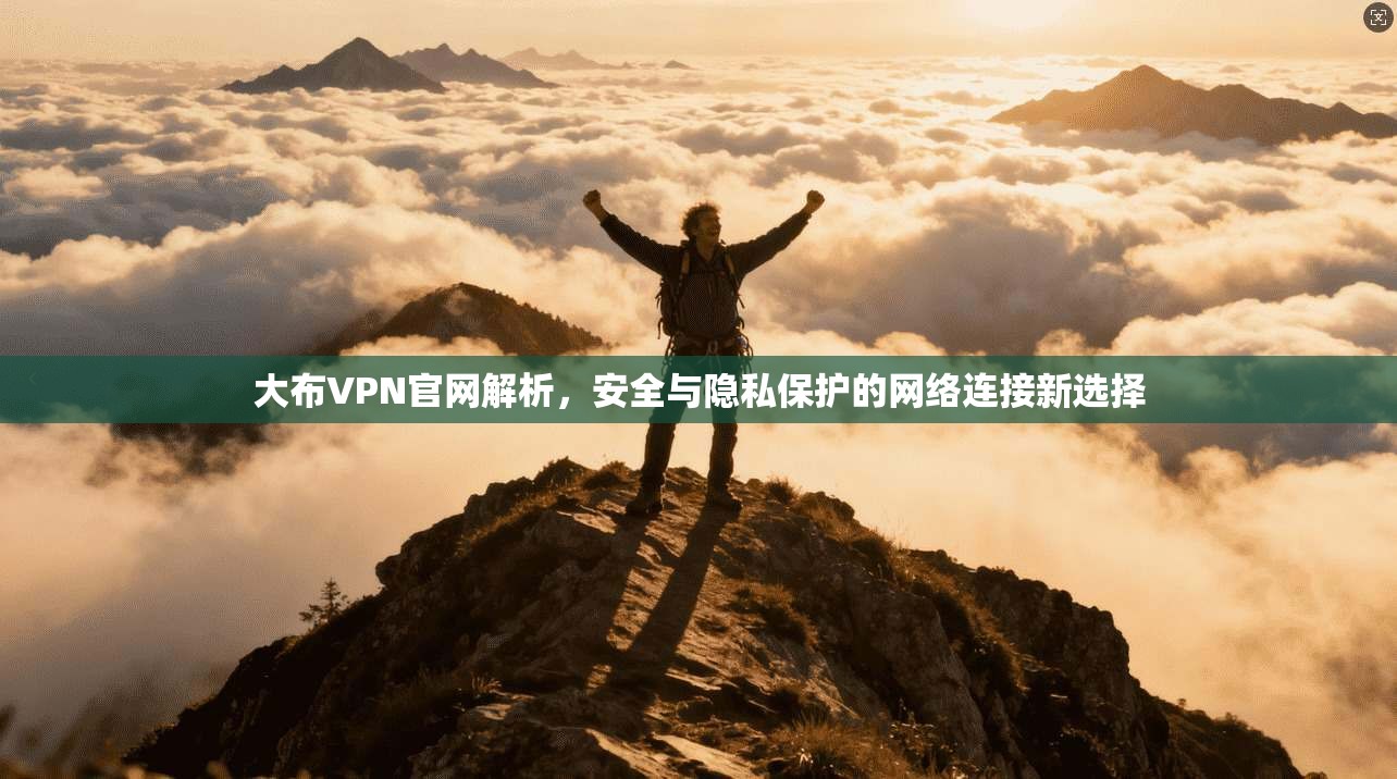 大布VPN官网解析，安全与隐私保护的网络连接新选择