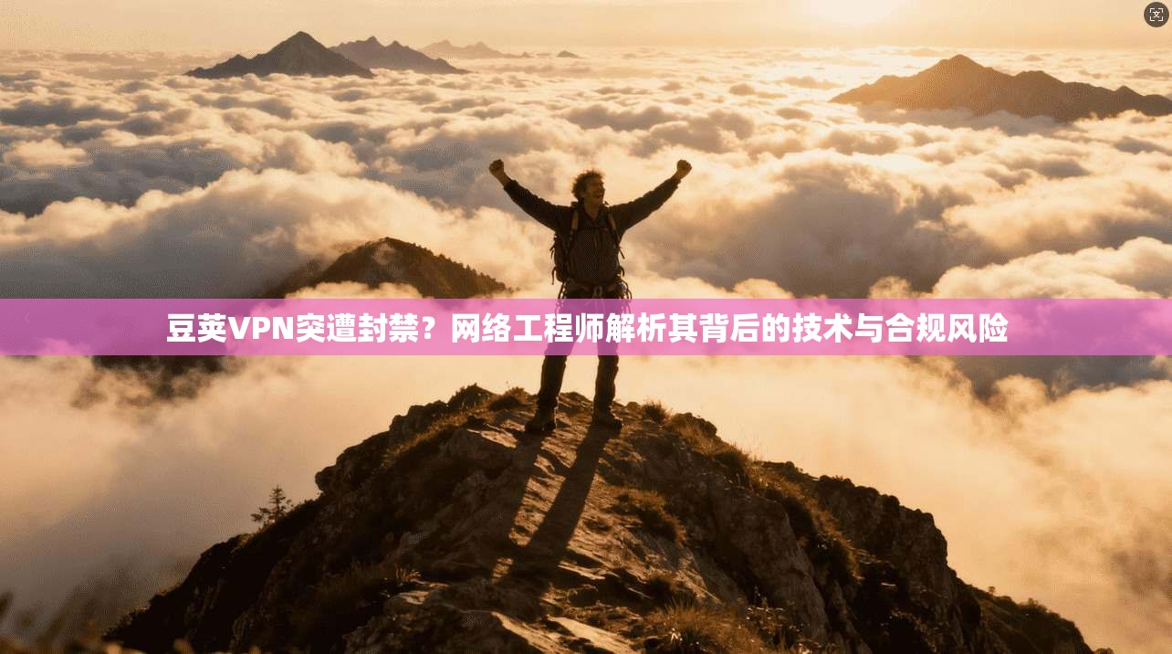 豆荚VPN突遭封禁？网络工程师解析其背后的技术与合规风险