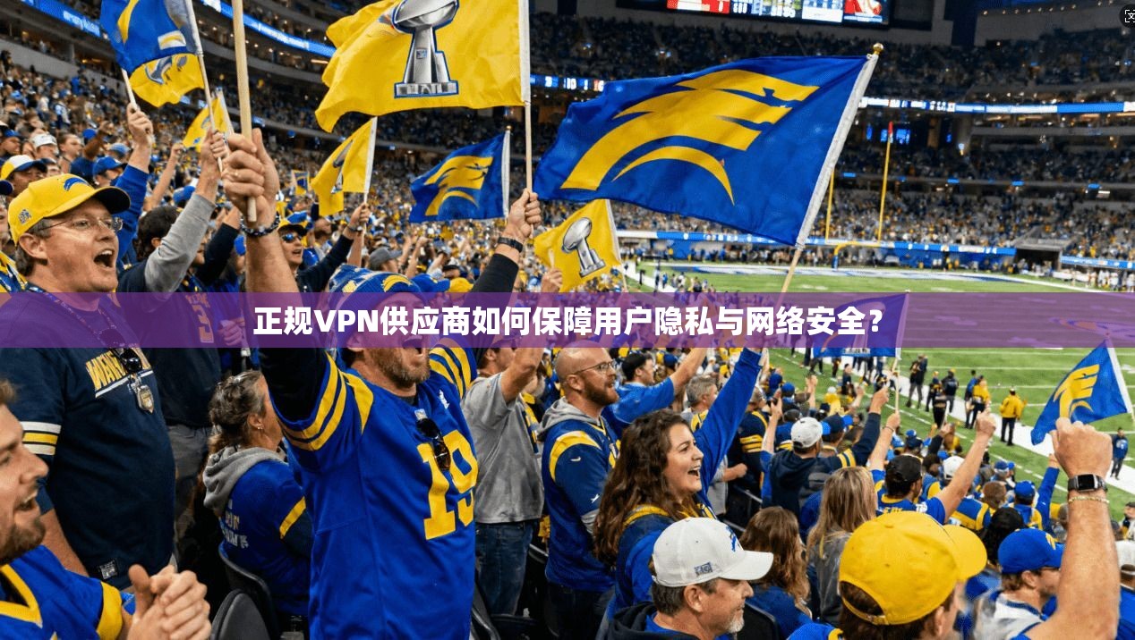 正规VPN供应商如何保障用户隐私与网络安全？