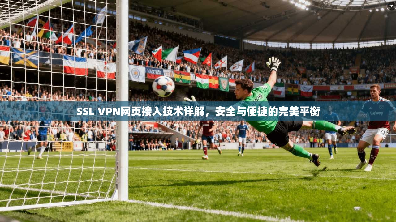 SSL VPN网页接入技术详解，安全与便捷的完美平衡