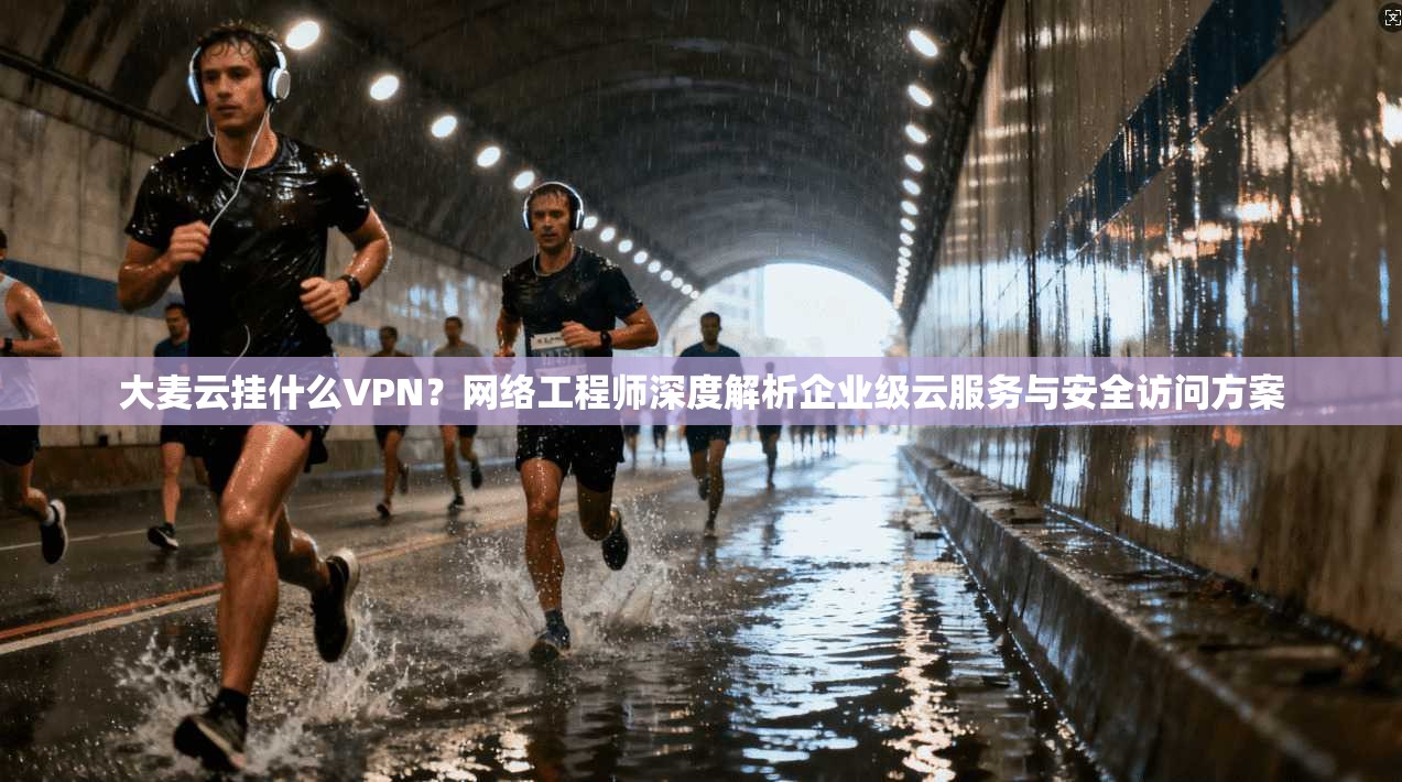 大麦云挂什么VPN？网络工程师深度解析企业级云服务与安全访问方案