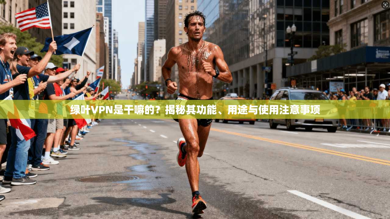 绿叶VPN是干嘛的？揭秘其功能、用途与使用注意事项