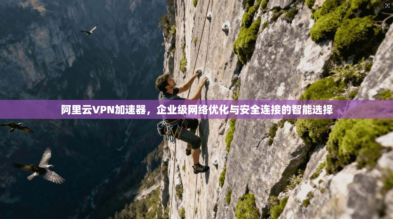 阿里云VPN加速器，企业级网络优化与安全连接的智能选择