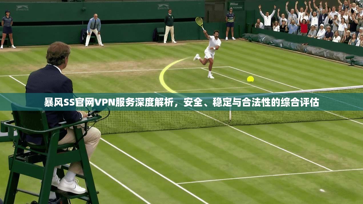 暴风SS官网VPN服务深度解析，安全、稳定与合法性的综合评估