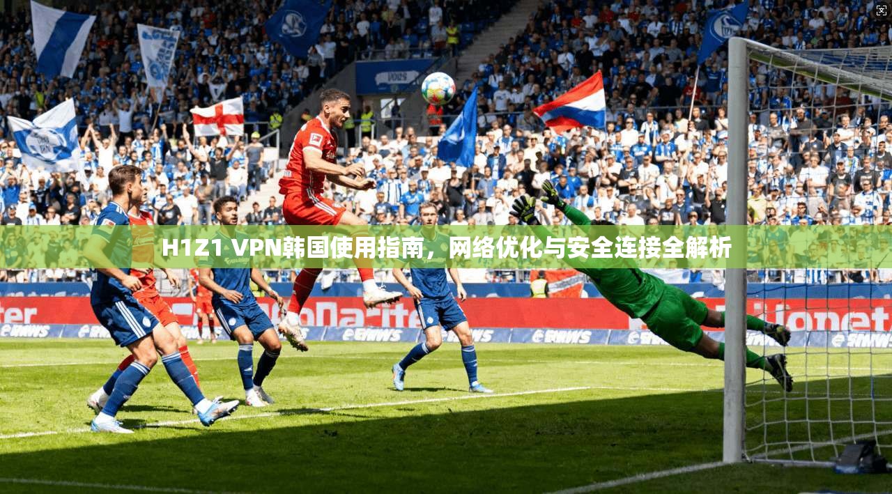 H1Z1 VPN韩国使用指南，网络优化与安全连接全解析
