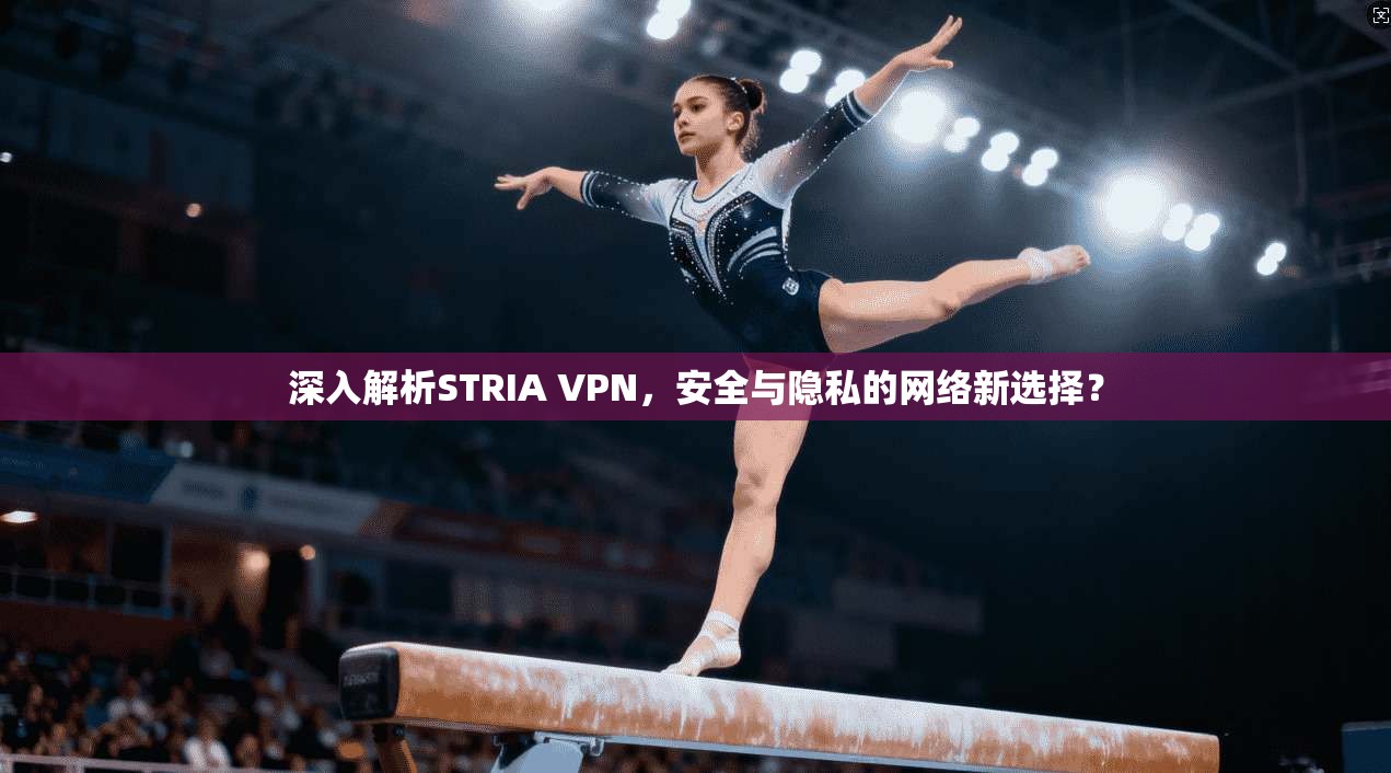 深入解析STRIA VPN，安全与隐私的网络新选择？
