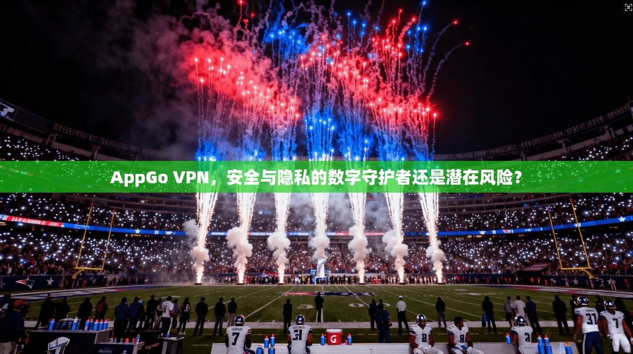 AppGo VPN，安全与隐私的数字守护者还是潜在风险？