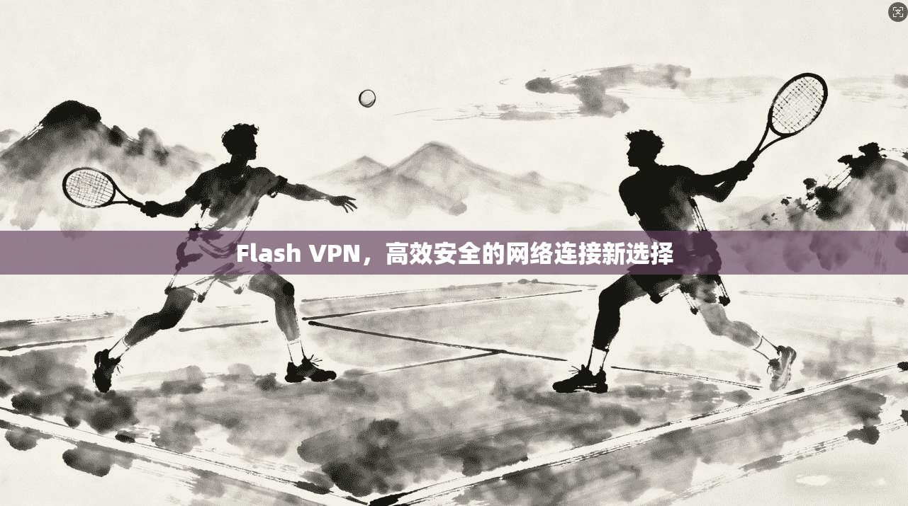 Flash VPN，高效安全的网络连接新选择