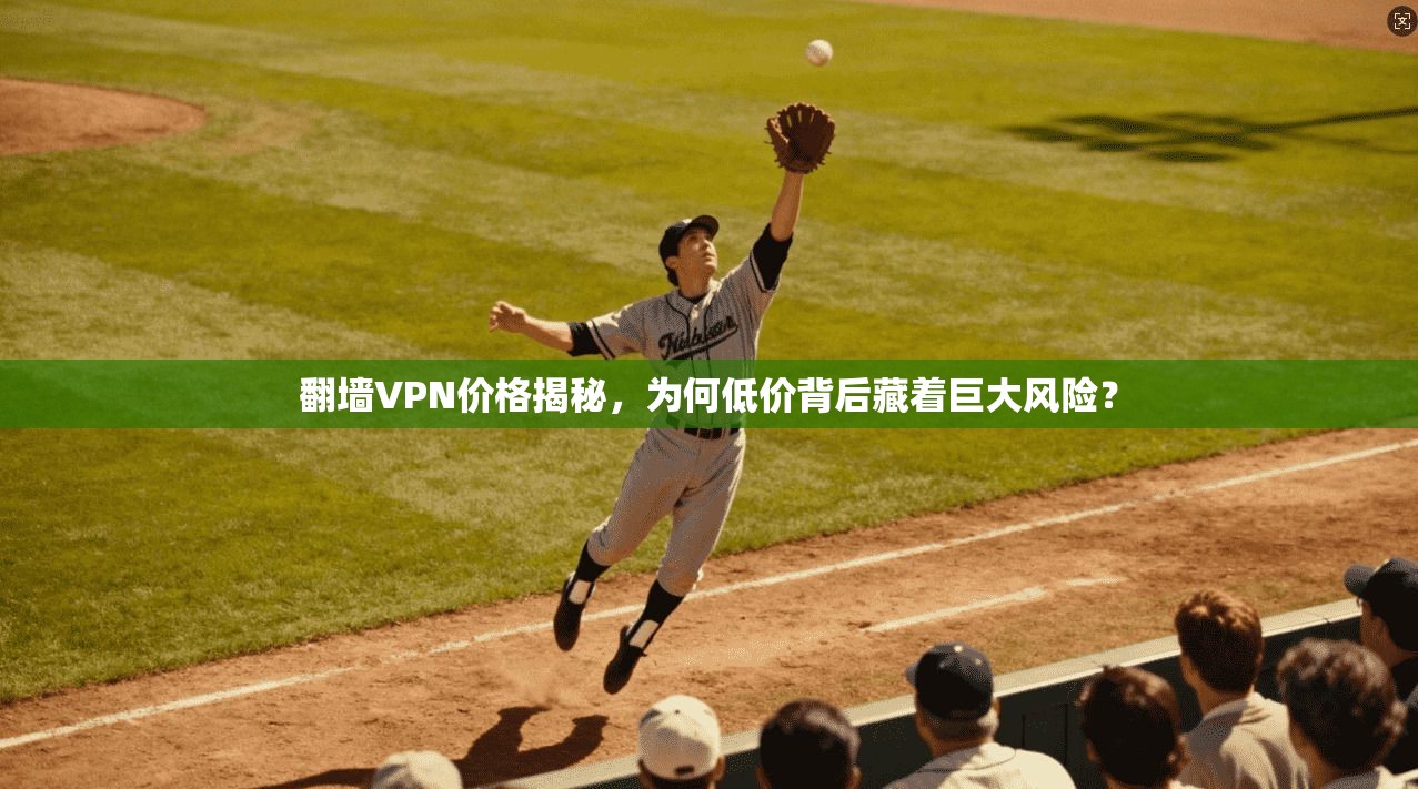 翻墙VPN价格揭秘，为何低价背后藏着巨大风险？