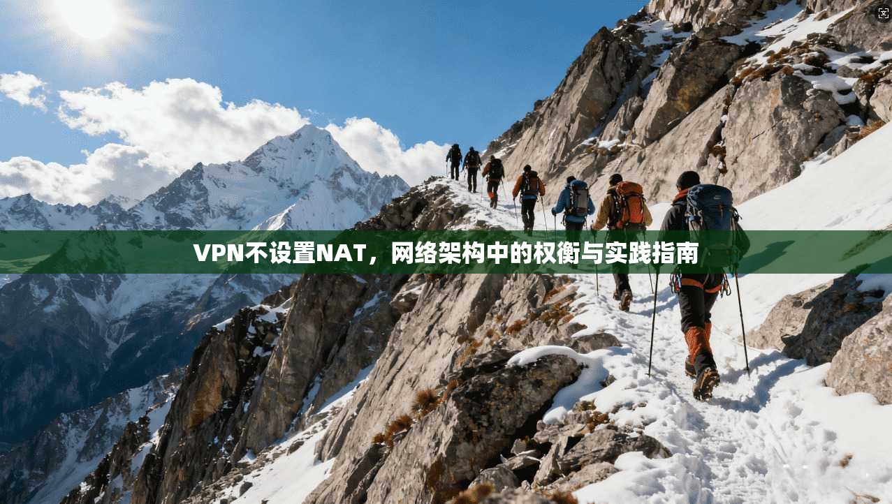 VPN不设置NAT，网络架构中的权衡与实践指南