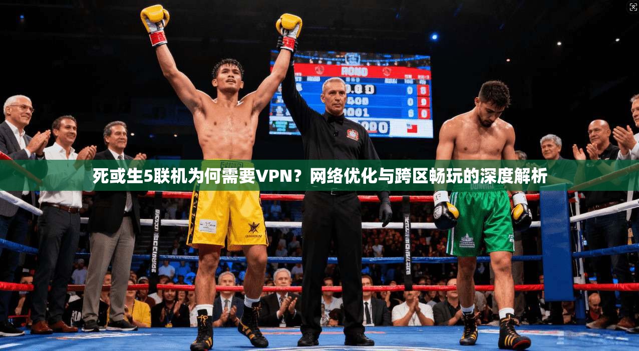 死或生5联机为何需要VPN？网络优化与跨区畅玩的深度解析
