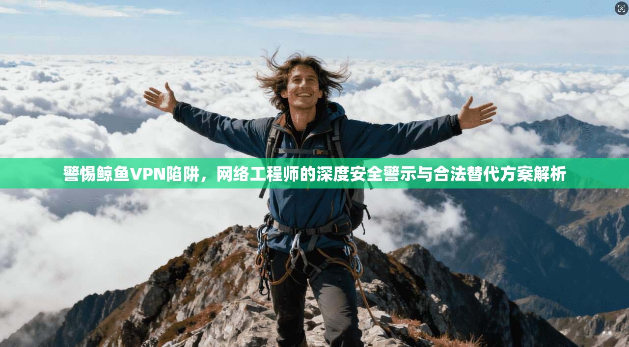 警惕鲸鱼VPN陷阱，网络工程师的深度安全警示与合法替代方案解析