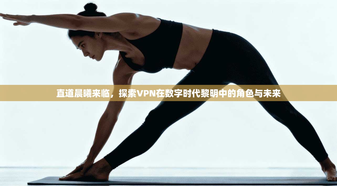 直道晨曦来临，探索VPN在数字时代黎明中的角色与未来