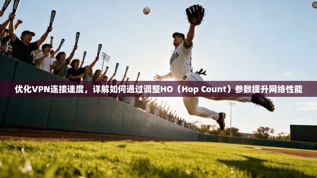 优化VPN连接速度，详解如何通过调整HO（Hop Count）参数提升网络性能