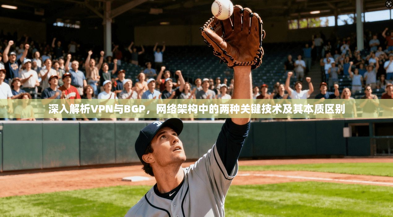 深入解析VPN与BGP，网络架构中的两种关键技术及其本质区别