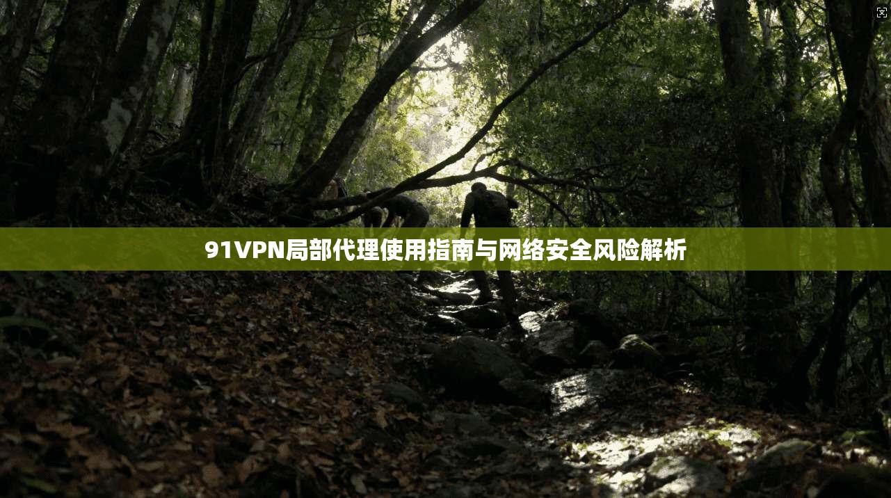 91VPN局部代理使用指南与网络安全风险解析