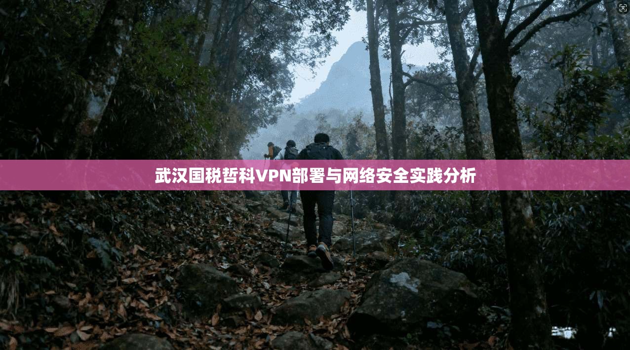 武汉国税哲科VPN部署与网络安全实践分析