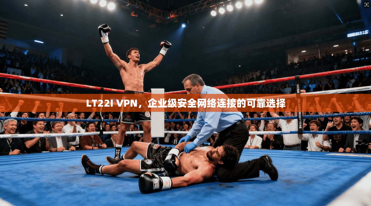 LT22I VPN，企业级安全网络连接的可靠选择