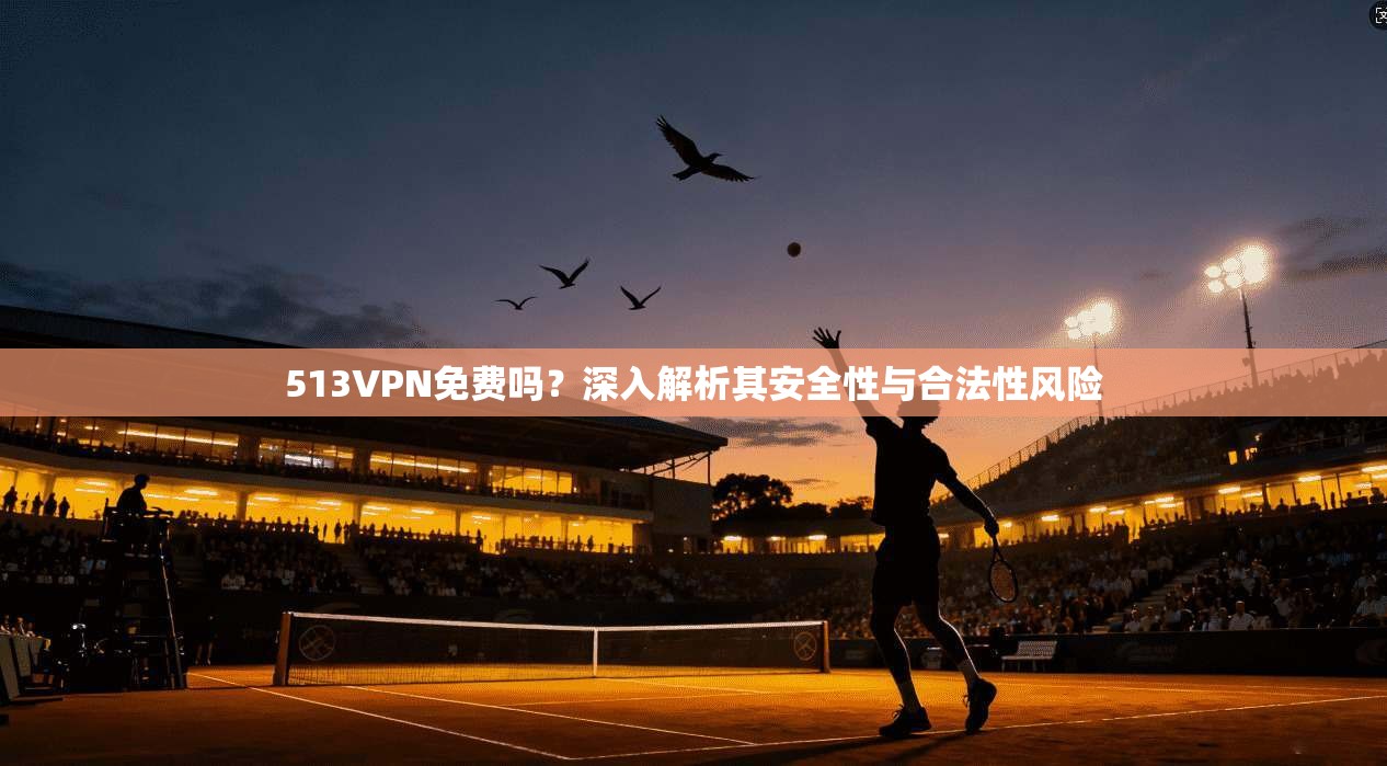513VPN免费吗？深入解析其安全性与合法性风险
