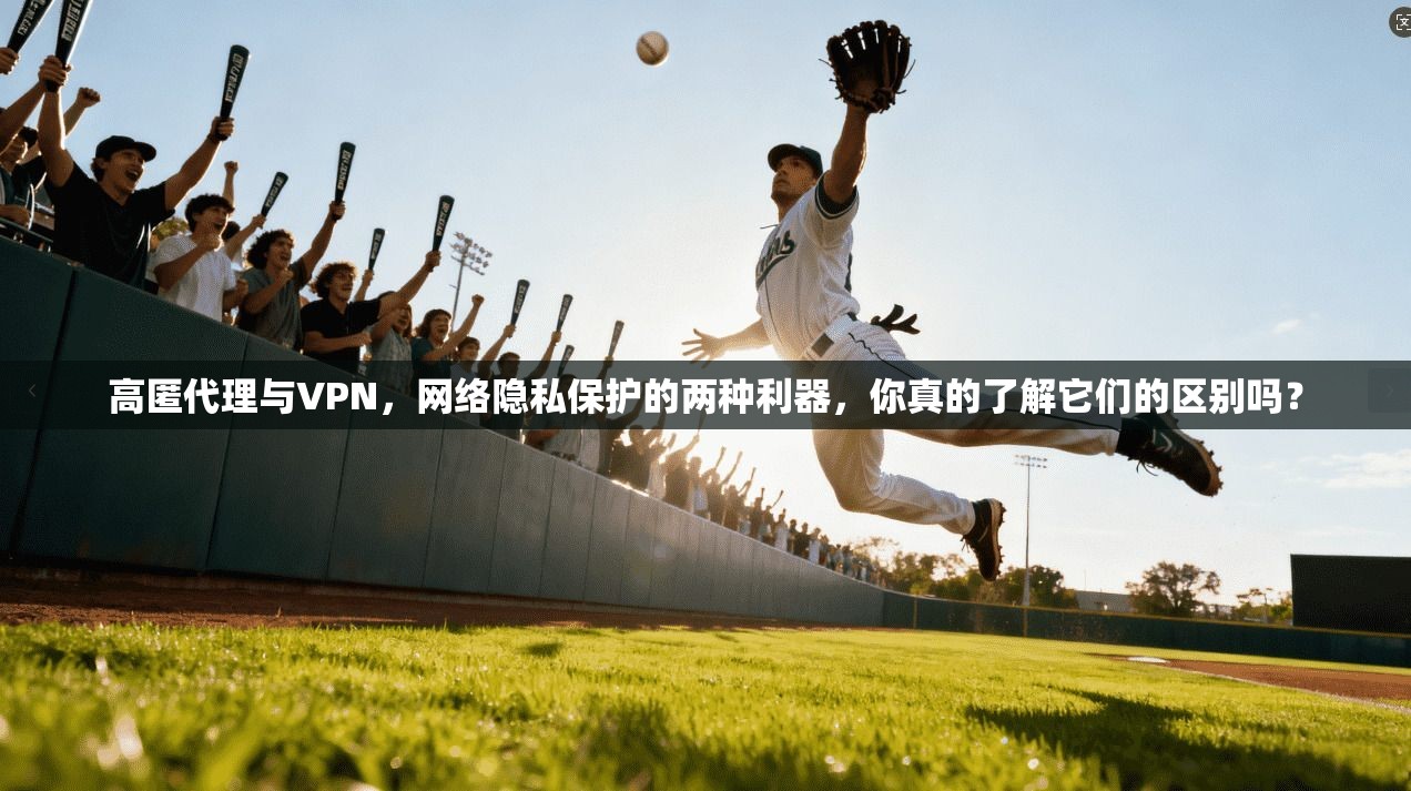 高匿代理与VPN，网络隐私保护的两种利器，你真的了解它们的区别吗？