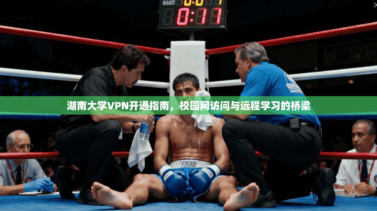 湖南大学VPN开通指南，校园网访问与远程学习的桥梁