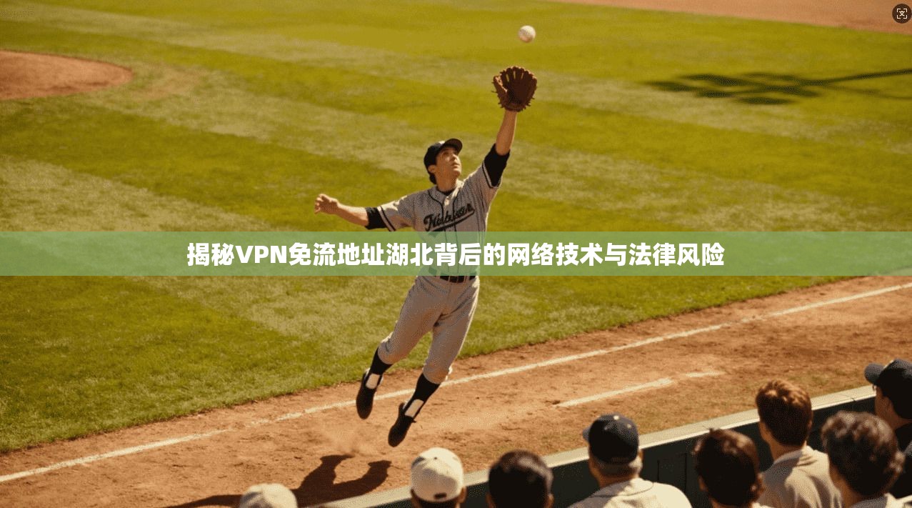 揭秘VPN免流地址湖北背后的网络技术与法律风险