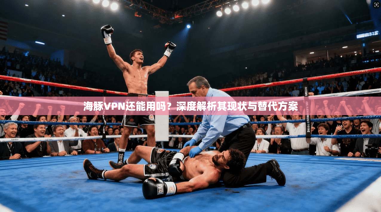 海豚VPN还能用吗？深度解析其现状与替代方案