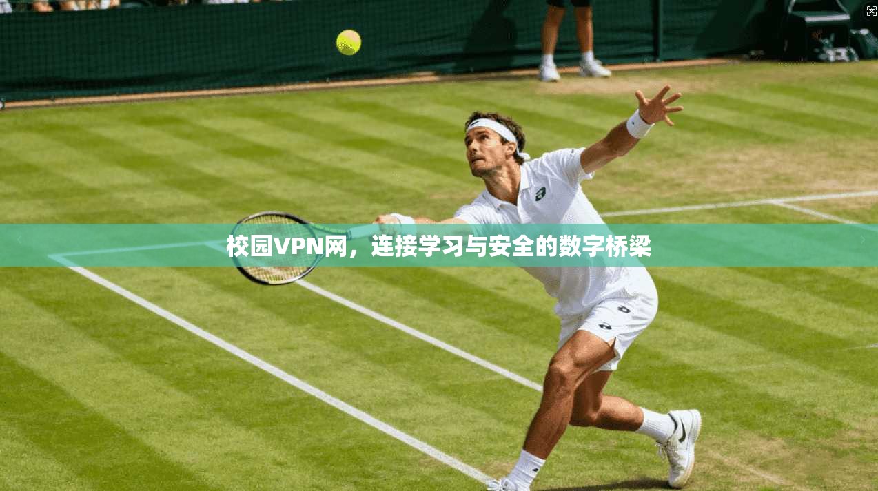 校园VPN网，连接学习与安全的数字桥梁