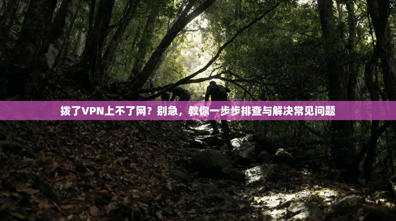 拨了VPN上不了网？别急，教你一步步排查与解决常见问题