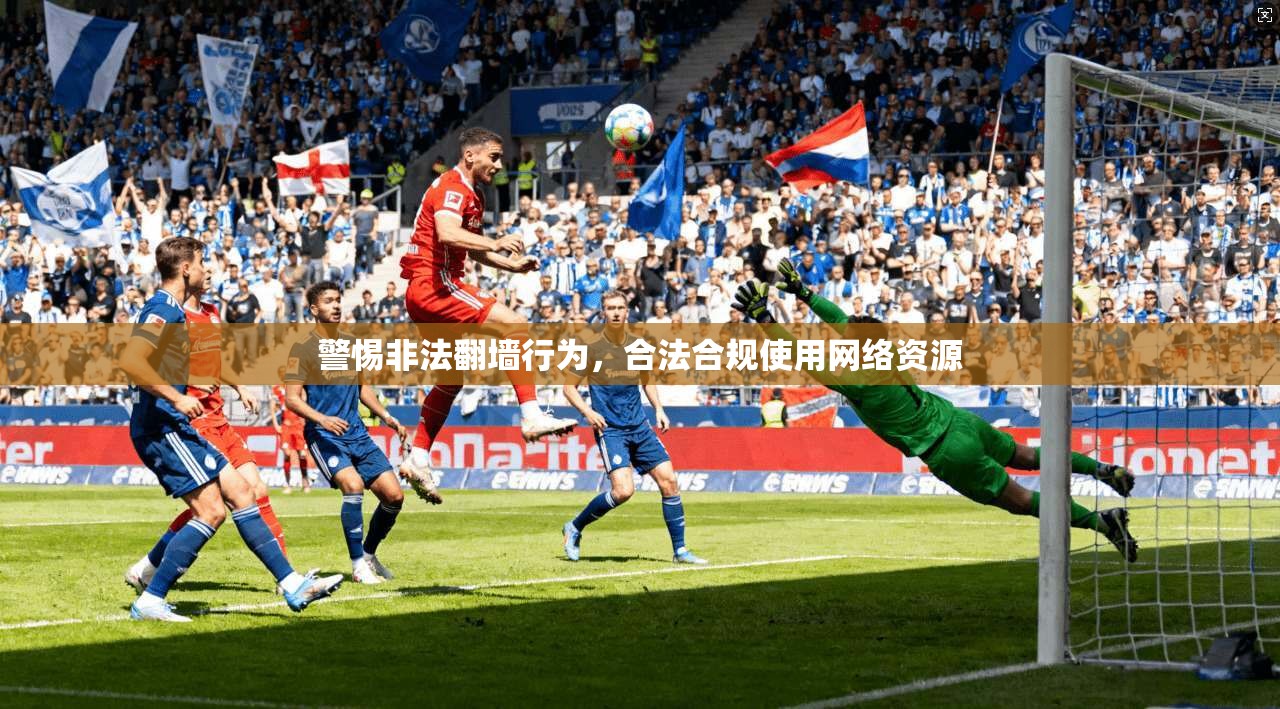 警惕非法翻墙行为，合法合规使用网络资源
