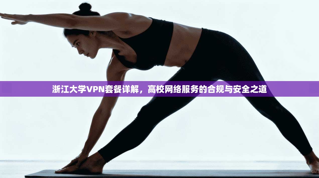 浙江大学VPN套餐详解，高校网络服务的合规与安全之道