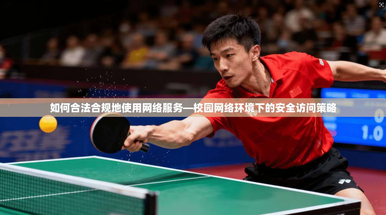 如何合法合规地使用网络服务—校园网络环境下的安全访问策略