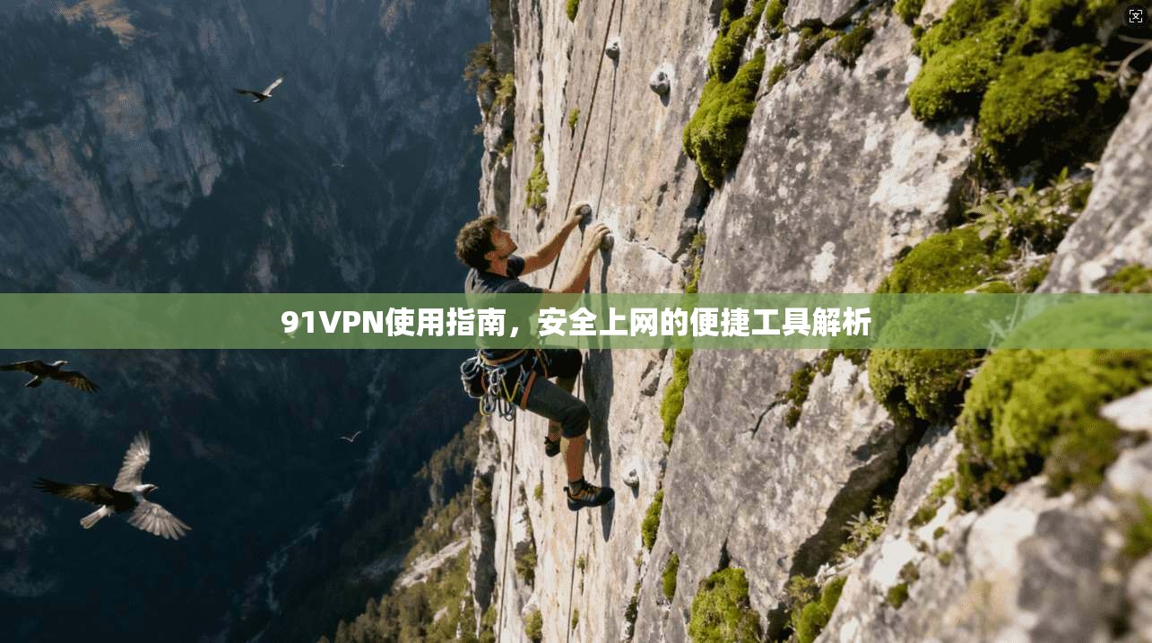91VPN使用指南，安全上网的便捷工具解析