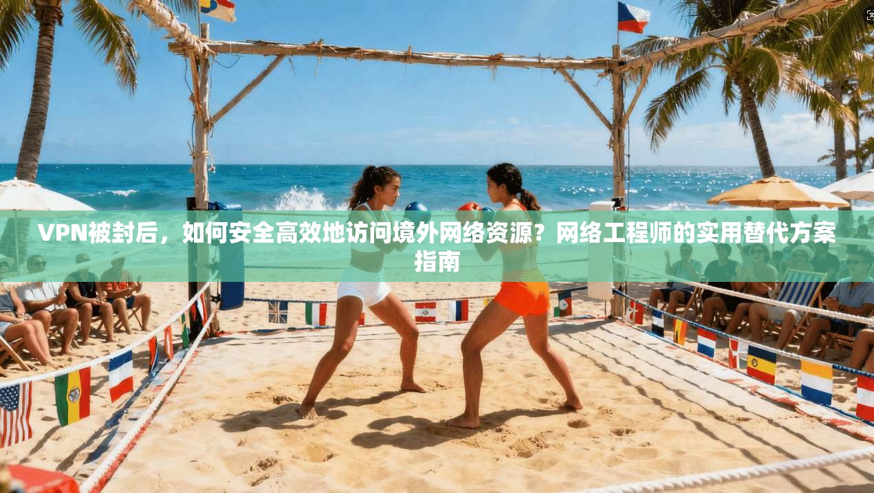 VPN被封后，如何安全高效地访问境外网络资源？网络工程师的实用替代方案指南