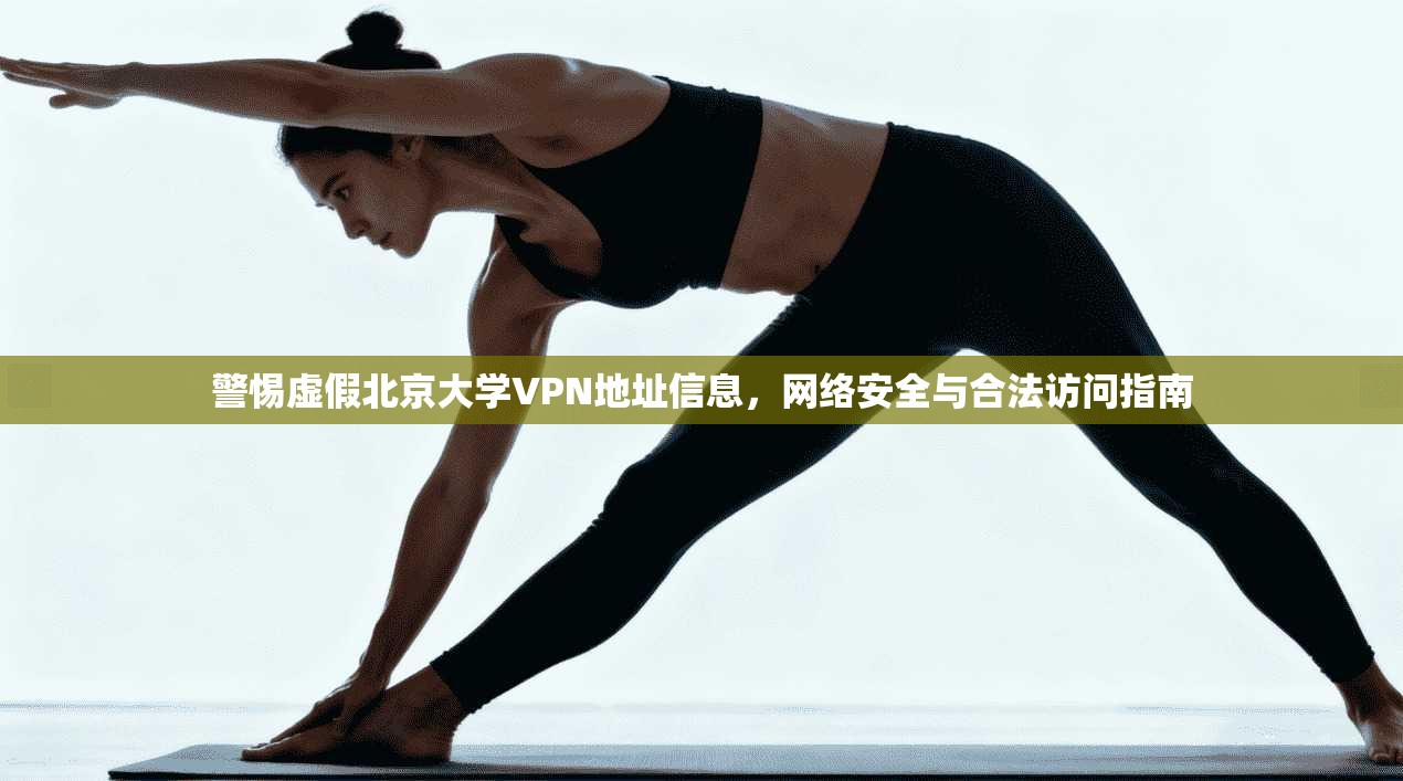 警惕虚假北京大学VPN地址信息，网络安全与合法访问指南