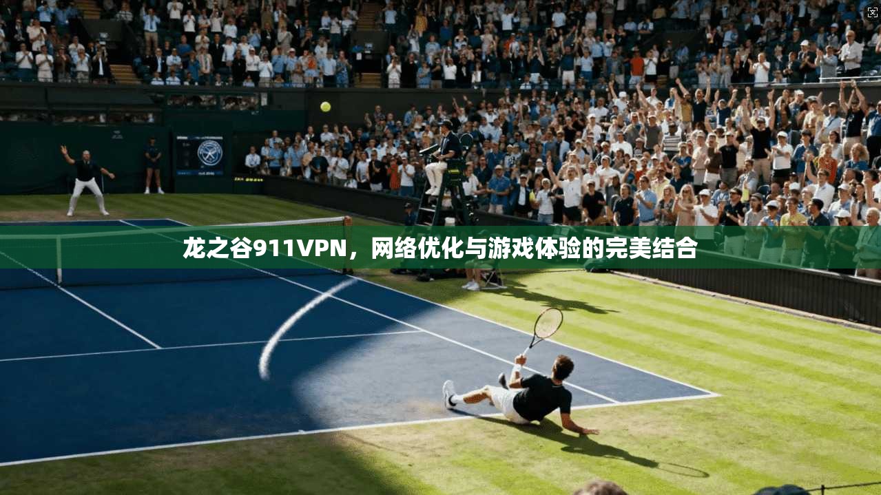 龙之谷911VPN，网络优化与游戏体验的完美结合