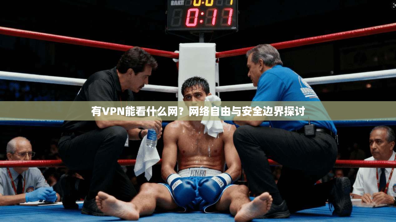有VPN能看什么网？网络自由与安全边界探讨