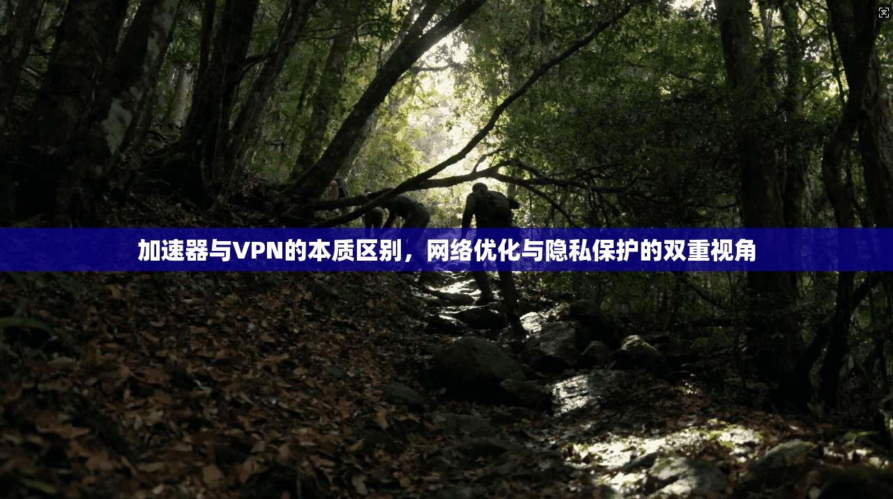 加速器与VPN的本质区别，网络优化与隐私保护的双重视角