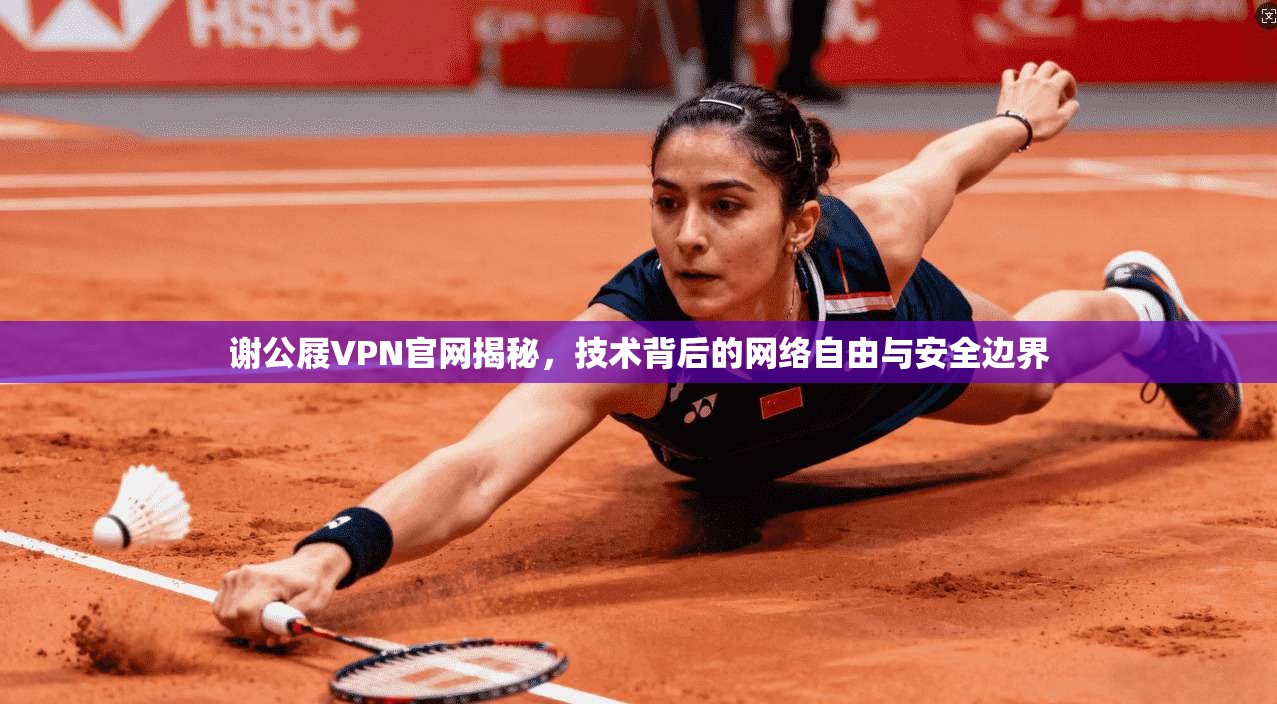 谢公屐VPN官网揭秘，技术背后的网络自由与安全边界